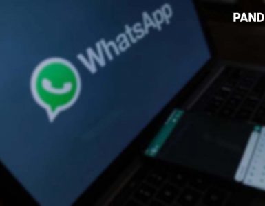 Tips Menggunakan Kirim Pesan Whatsapp Otomatis