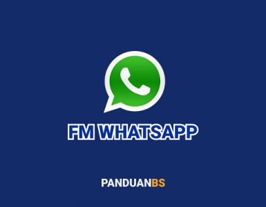 FM WhatsApp Mod Apk fm wa